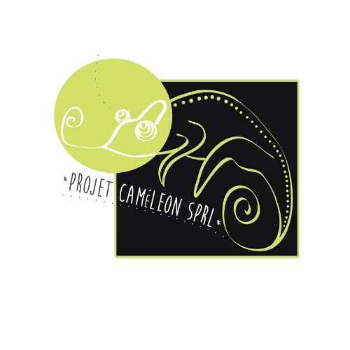 Projet Caméléon